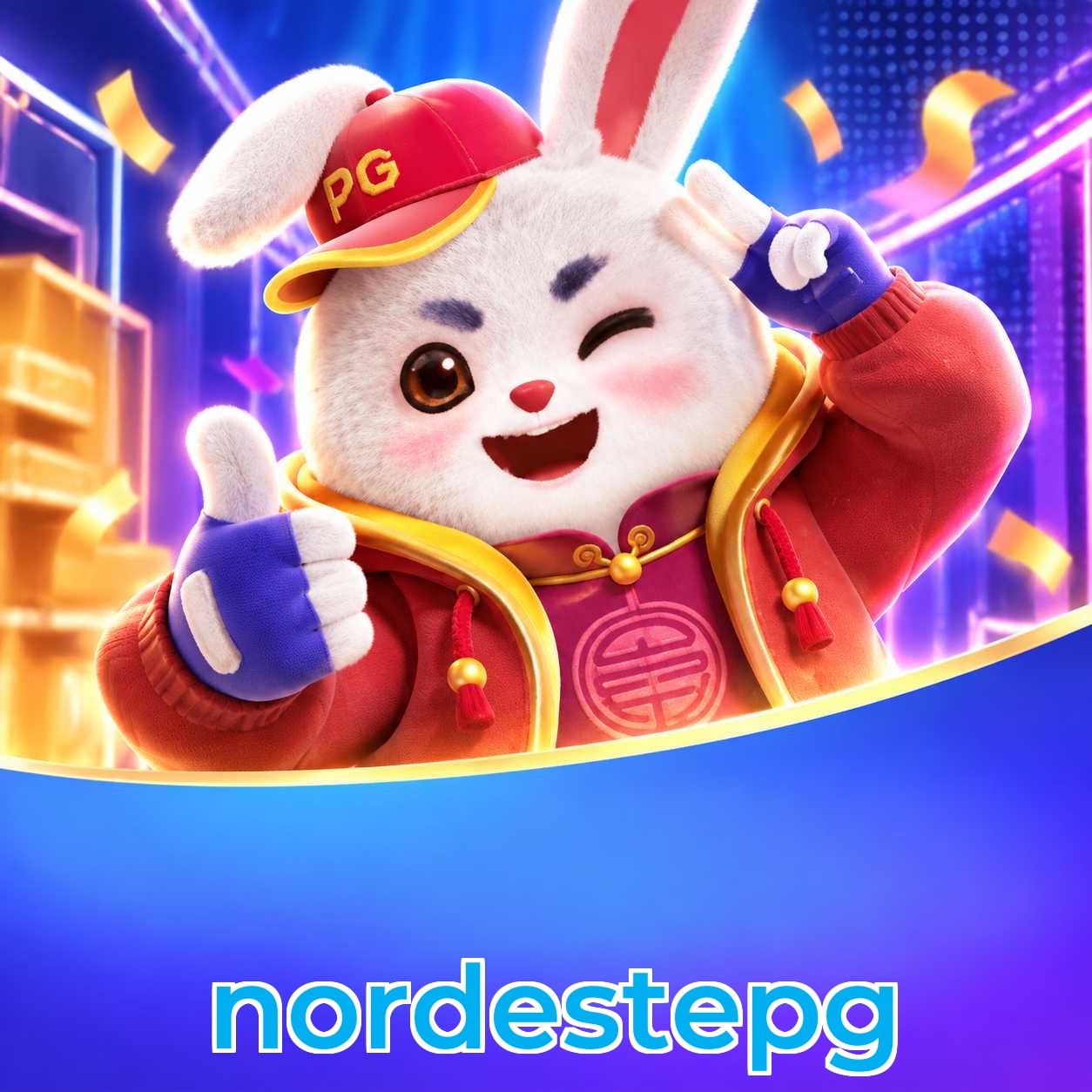 nordestepg Plataforma FAQ